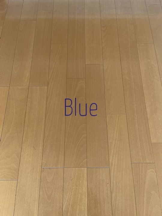 神奈川県横浜市旭区南本宿町(一戸建)の賃貸物件の居間