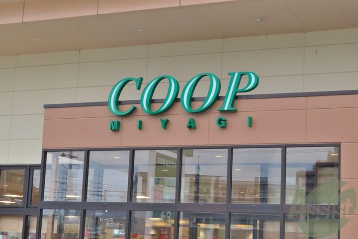 Y-スタイルの周辺