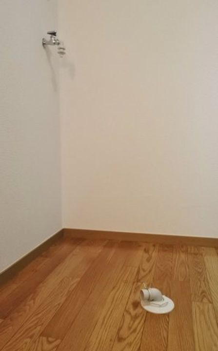 千葉県東金市堀上(アパート)の賃貸物件の内装