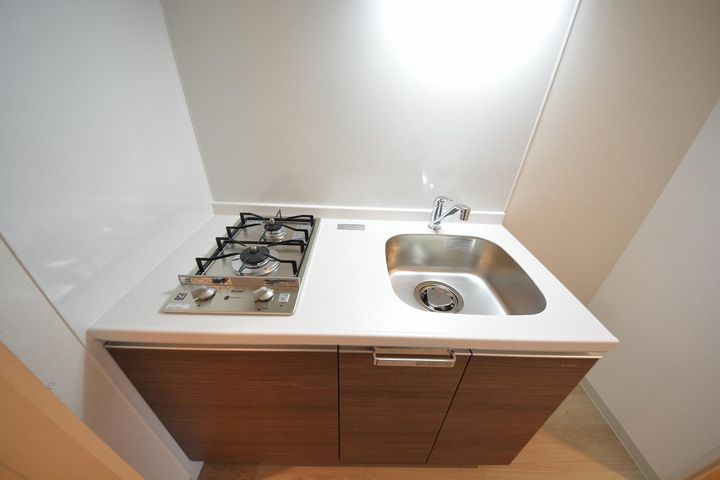 プレサンス高津公園ディオのキッチン