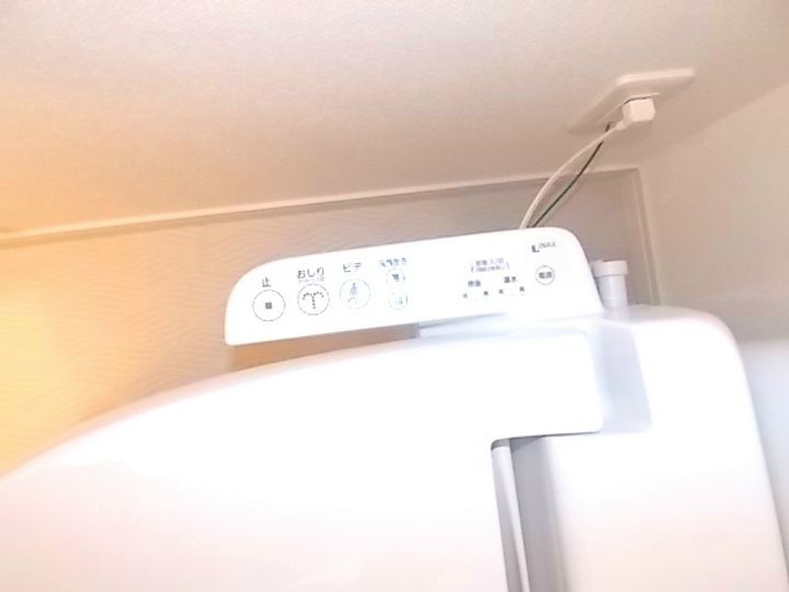 埼玉県川口市芝新町(マンション)の賃貸物件の内装