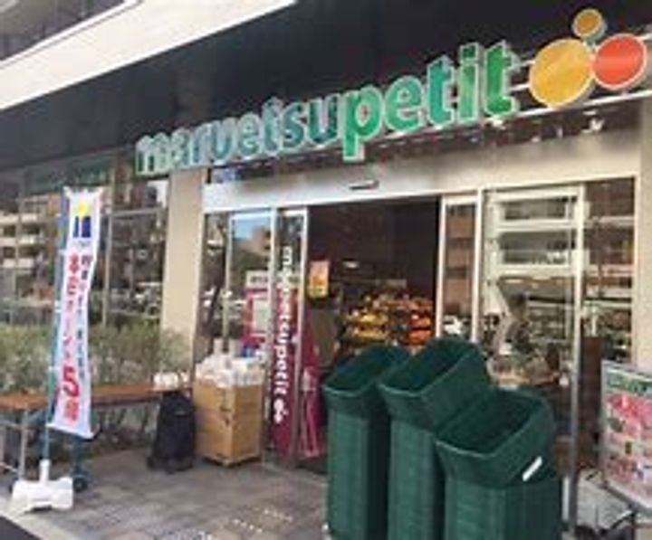 カスタリア目黒の周辺