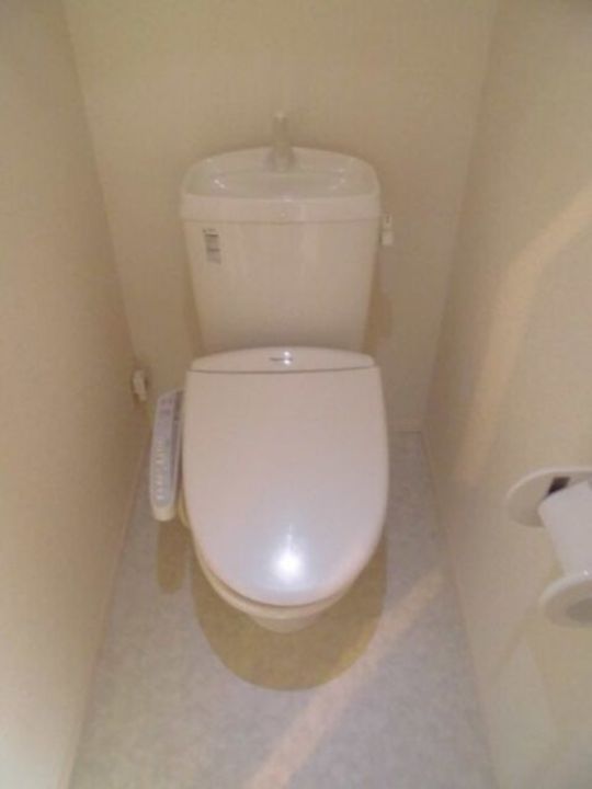 埼玉県三郷市中央1(アパート)の賃貸物件の内装