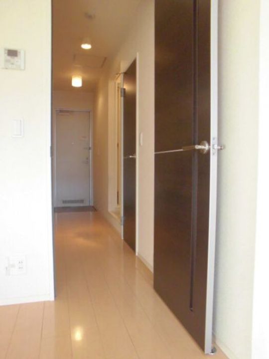 埼玉県三郷市中央1(アパート)の賃貸物件の内装