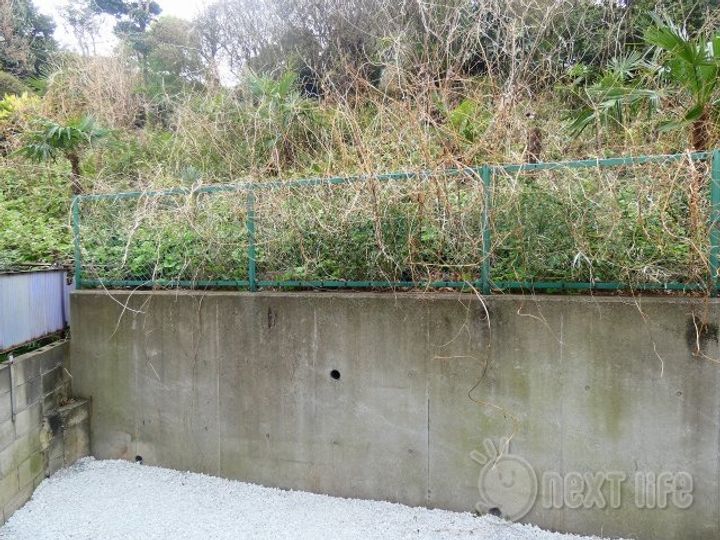 ベース 岸谷のその他画像
