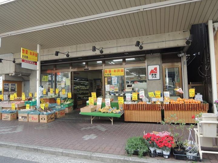 ベース 岸谷の周辺