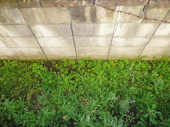 埼玉県川口市芝樋ノ爪1(アパート)の賃貸物件のその他画像