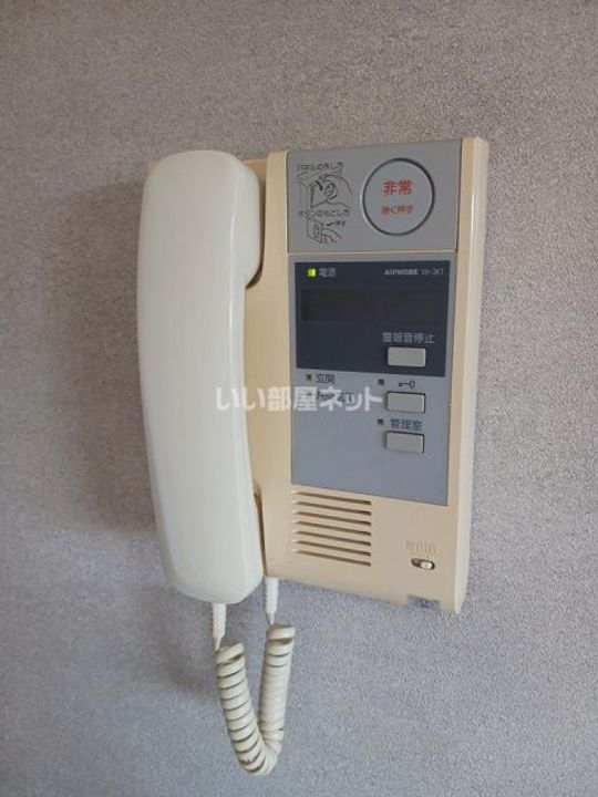 滋賀県彦根市竹ケ鼻町(マンション)の賃貸物件の内装