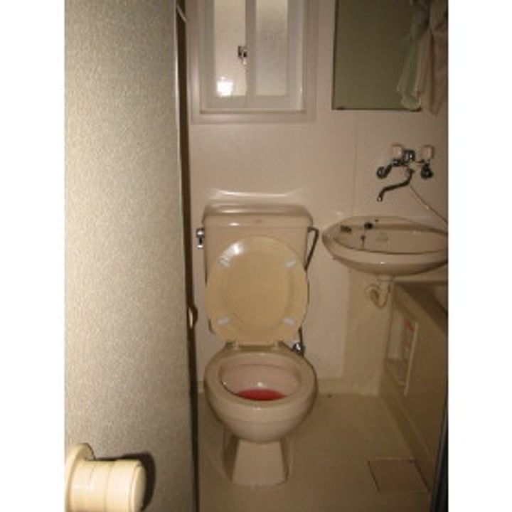 岩手県盛岡市月が丘2(アパート)の賃貸物件の内装