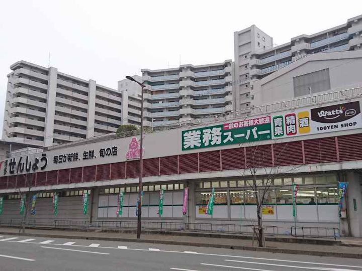 ダイナコートエスタディオレシェンテの周辺