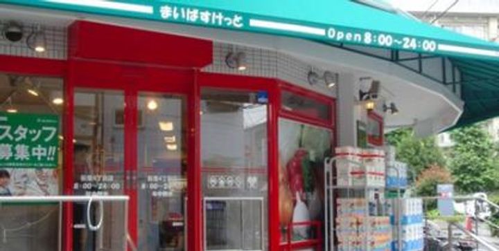 パインホームズ多摩川IIIの周辺