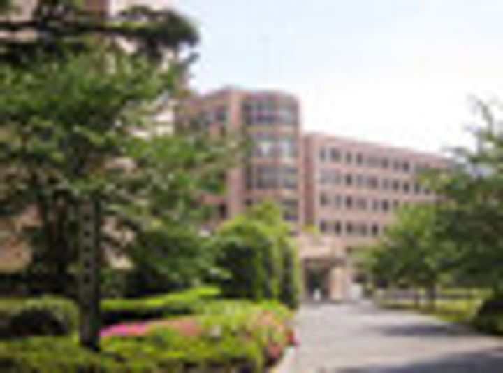 フロリスオーランティウム3の周辺