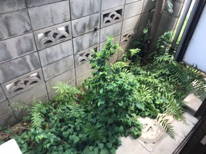 第二三菱荘の内装