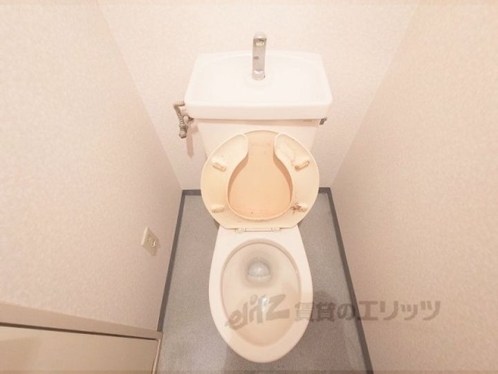 グランメゾンの内装