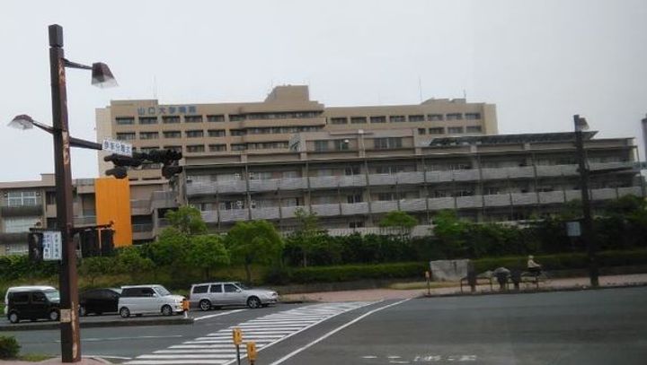 ファイブアイランドの周辺