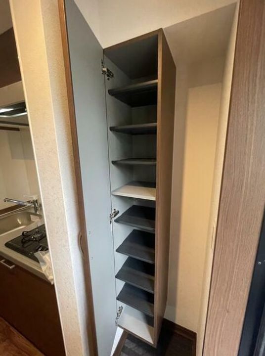 神奈川県平塚市浅間町(アパート)の賃貸物件の玄関