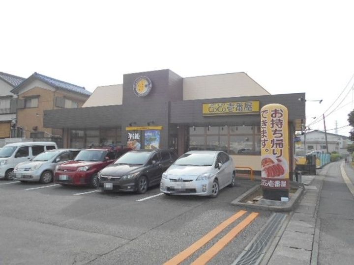 埼玉県越谷市大沢(アパート)の賃貸物件の周辺