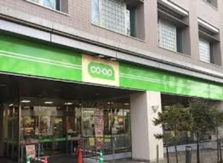 日神パレステージ武蔵関の周辺