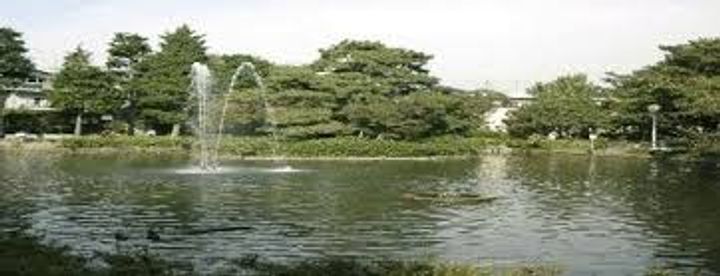 東京都杉並区下井草4(マンション)の賃貸物件の周辺