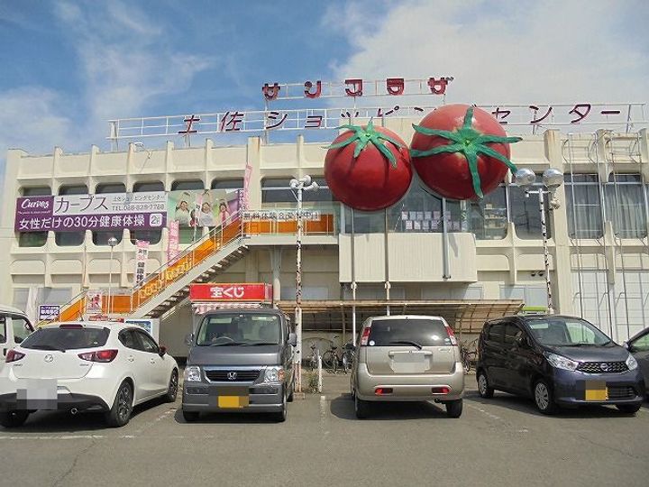 高知県土佐市高岡町乙(一戸建)の賃貸物件の周辺