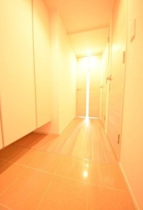 東京都中野区中野1(マンション)の賃貸物件の玄関