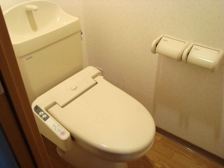 愛知県長久手市仲田(マンション)の賃貸物件の内装