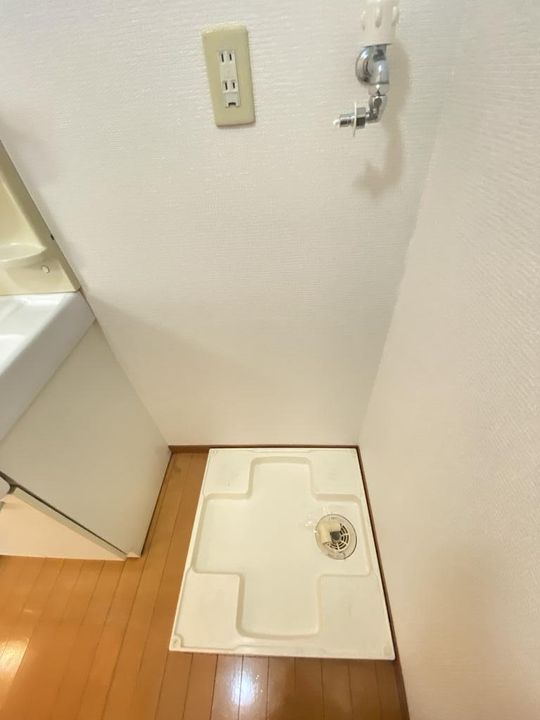 ソアレシバタのその他画像