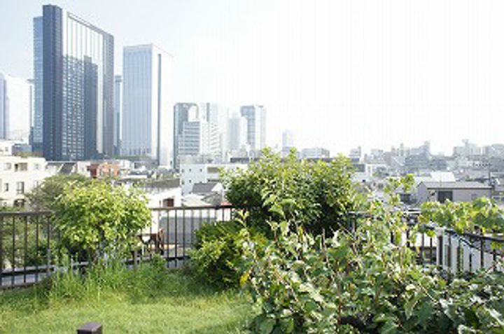 東京都中野区中央1(アパート)の賃貸物件の地図