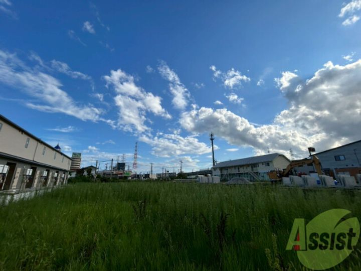 ハドルハシヌマのその他画像