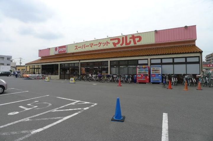 アムール Cageの周辺