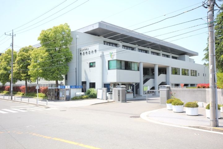 パーシモンM・Sの周辺