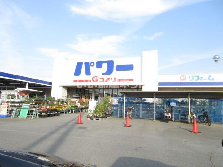 サニーヒル.ゴンの周辺