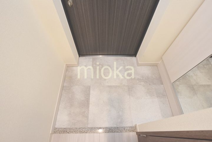 プレサンスTHE TENNOJI 逢阪トゥルーの玄関