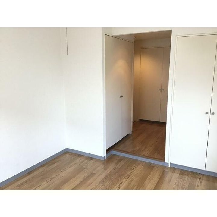 神奈川県平塚市真田4(マンション)の賃貸物件の居間