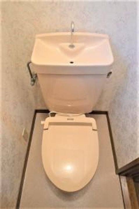 ステラトムロの内装