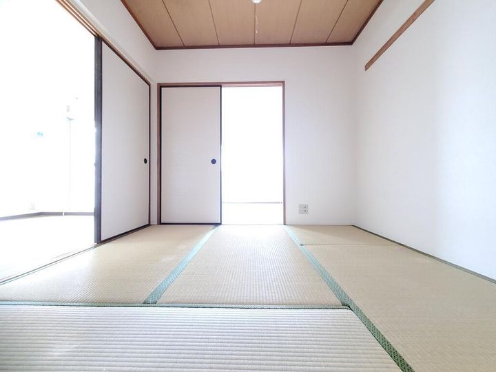 ハイネス・アビコのその他画像