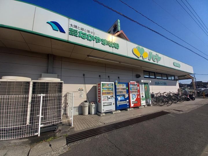 広島県福山市加茂町字芦原(一戸建)の賃貸物件の周辺