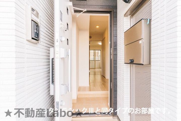 徳島県徳島市伊月町3(アパート)の賃貸物件の玄関
