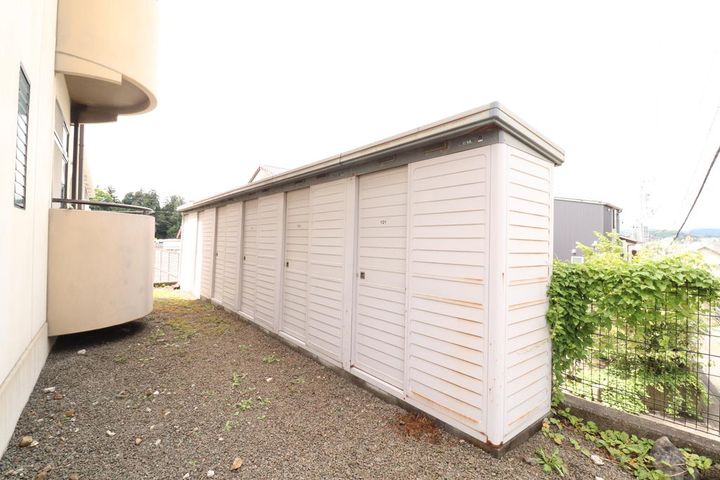 静岡県静岡市駿河区池田(マンション)の賃貸物件の内装