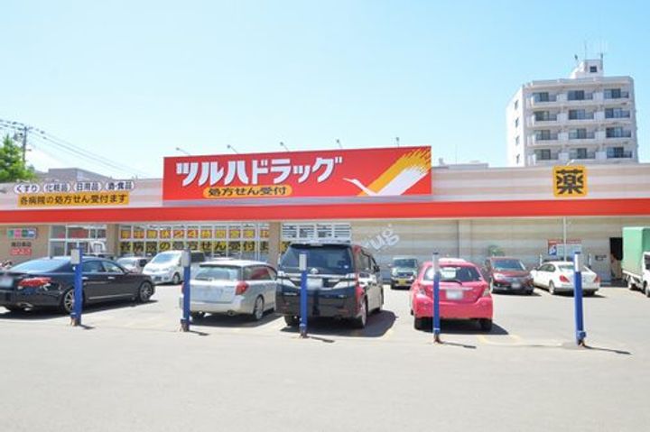 北海道札幌市中央区南九条西12(マンション)の賃貸物件の周辺