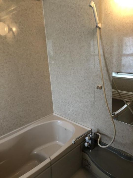 eタウンわくの C棟・D棟の風呂