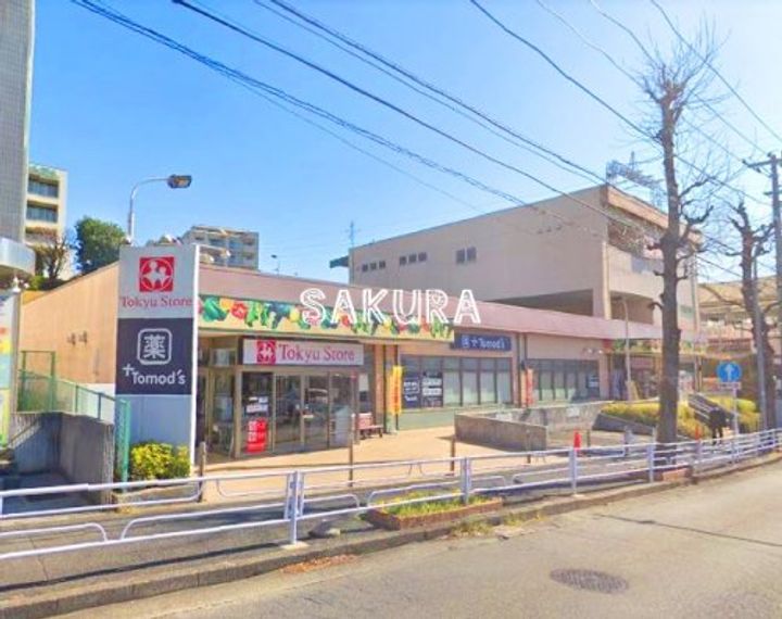 神奈川県横浜市青葉区荏田西2(一戸建)の賃貸物件の周辺