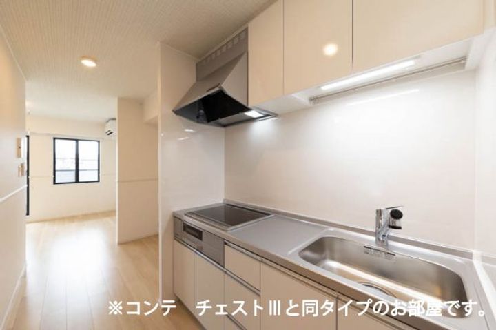 兵庫県加古川市平岡町新在家(アパート)の賃貸物件のキッチン