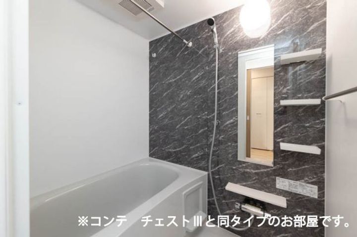 兵庫県加古川市平岡町新在家(アパート)の賃貸物件の風呂