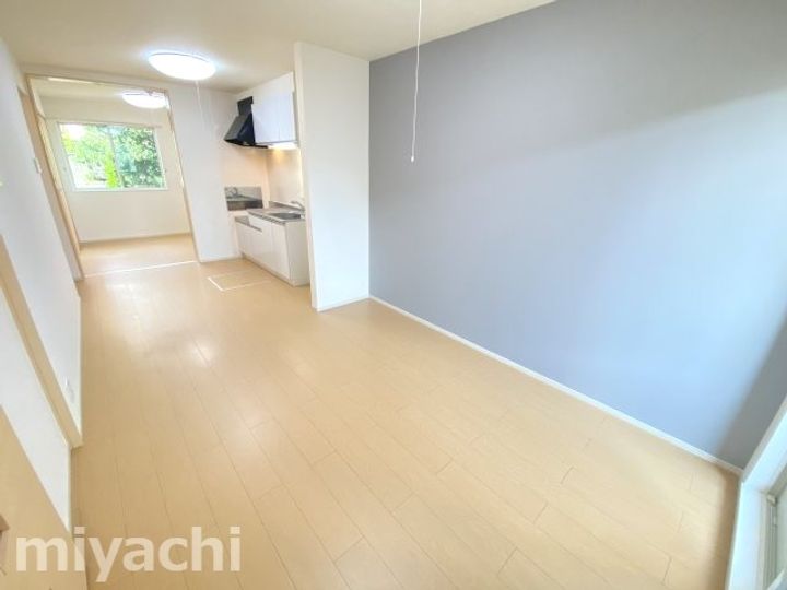 徳島県徳島市北沖洲4(アパート)の賃貸物件の居間