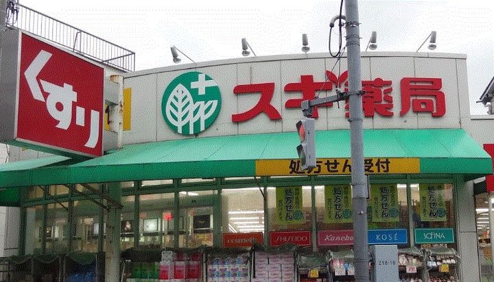 東京都品川区二葉1の賃貸マンションの周辺