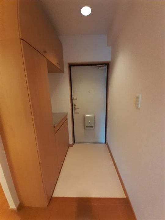 群馬県高崎市上中居町(マンション)の賃貸物件の玄関