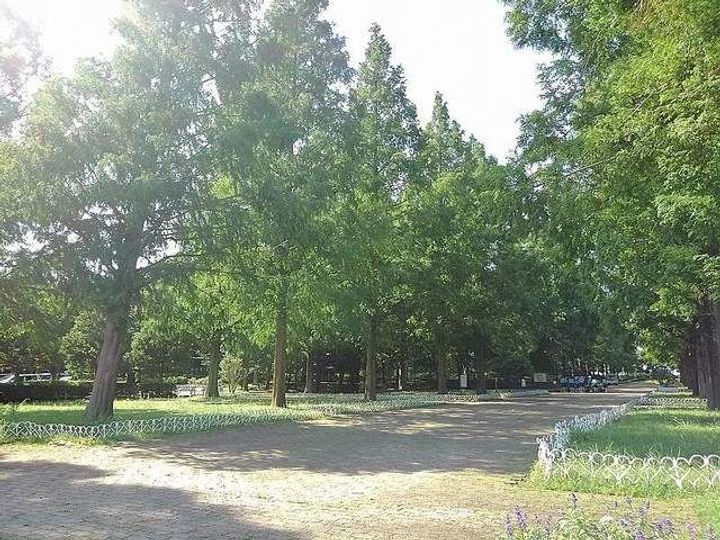 埼玉県草加市青柳7(マンション)の賃貸物件の周辺