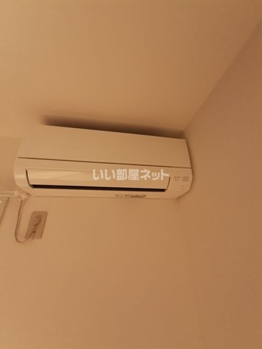アメリア和多田のその他画像