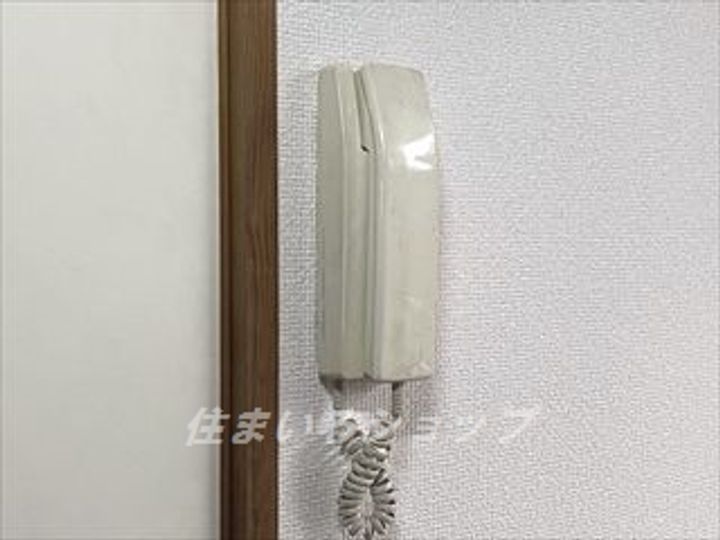 広島県広島市安佐北区落合2(マンション)の賃貸物件の内装